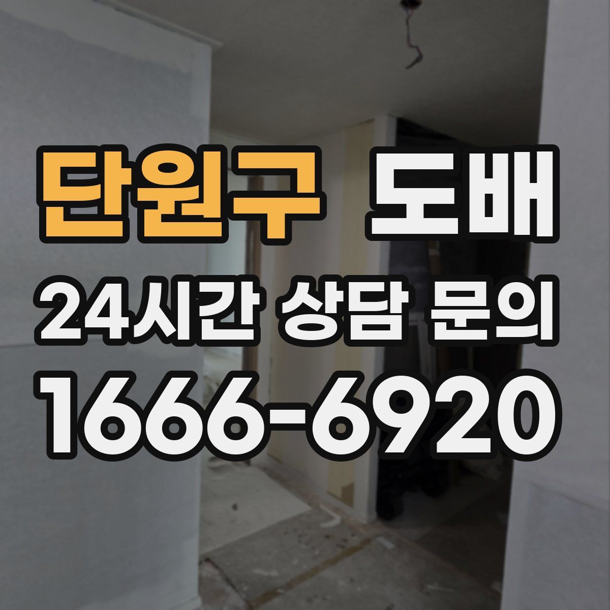 단원구 도배