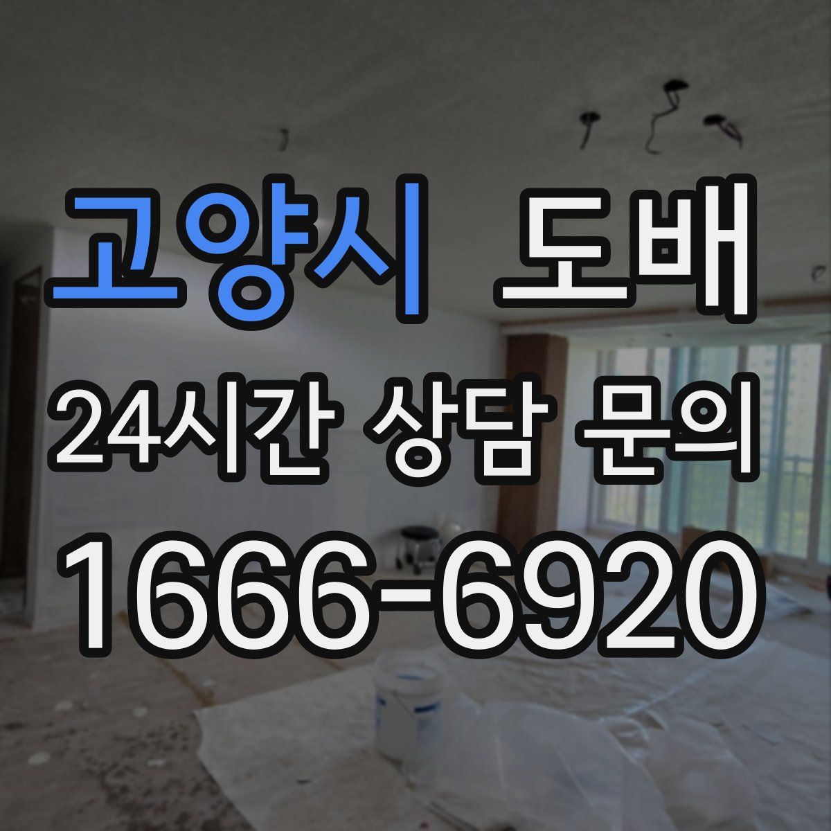 고양시 도배