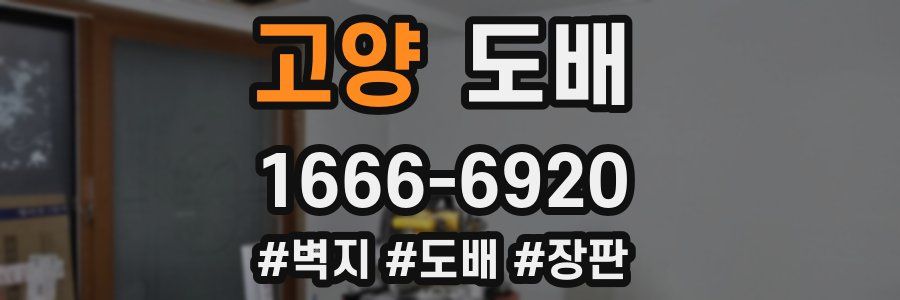 고양 도배