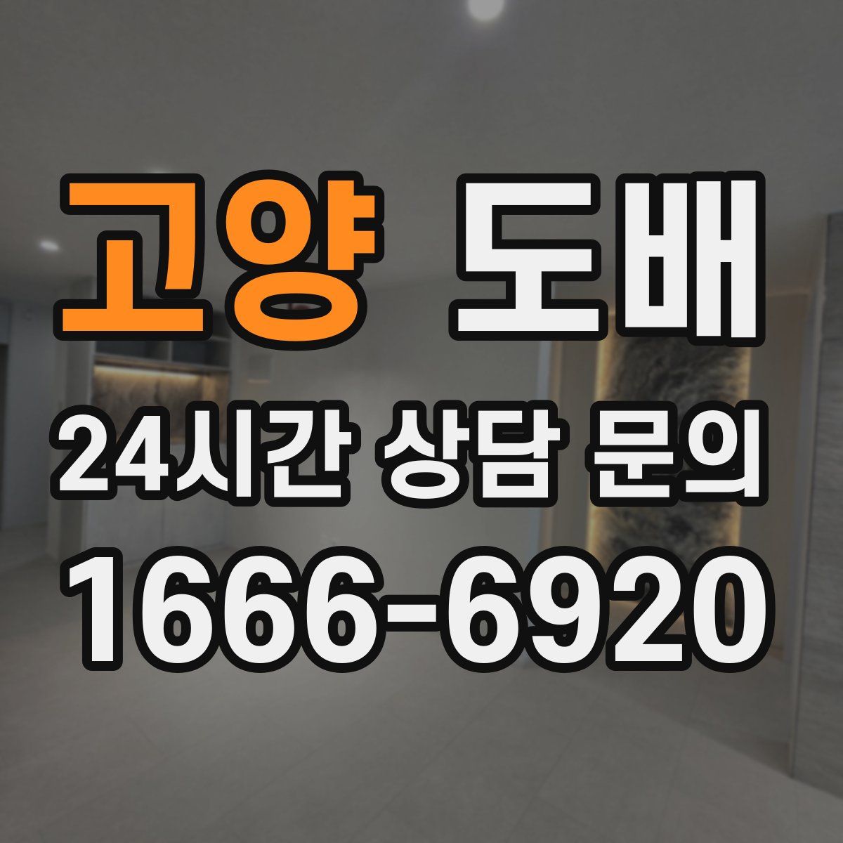 고양 도배