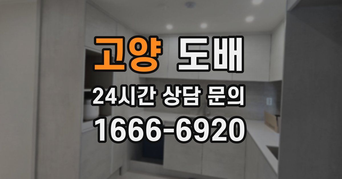 고양 도배