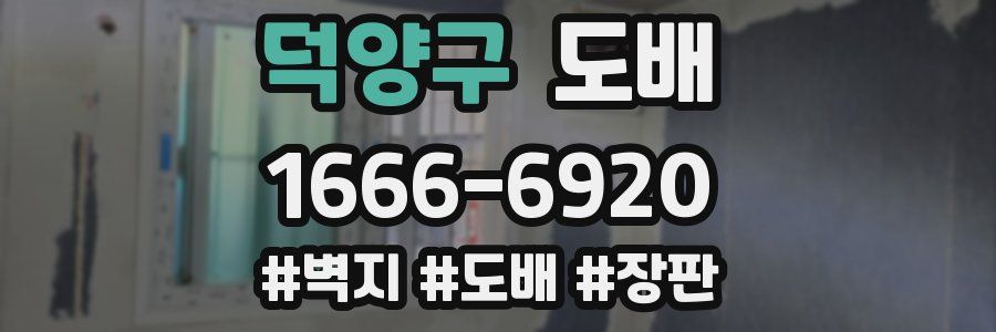 덕양구 도배
