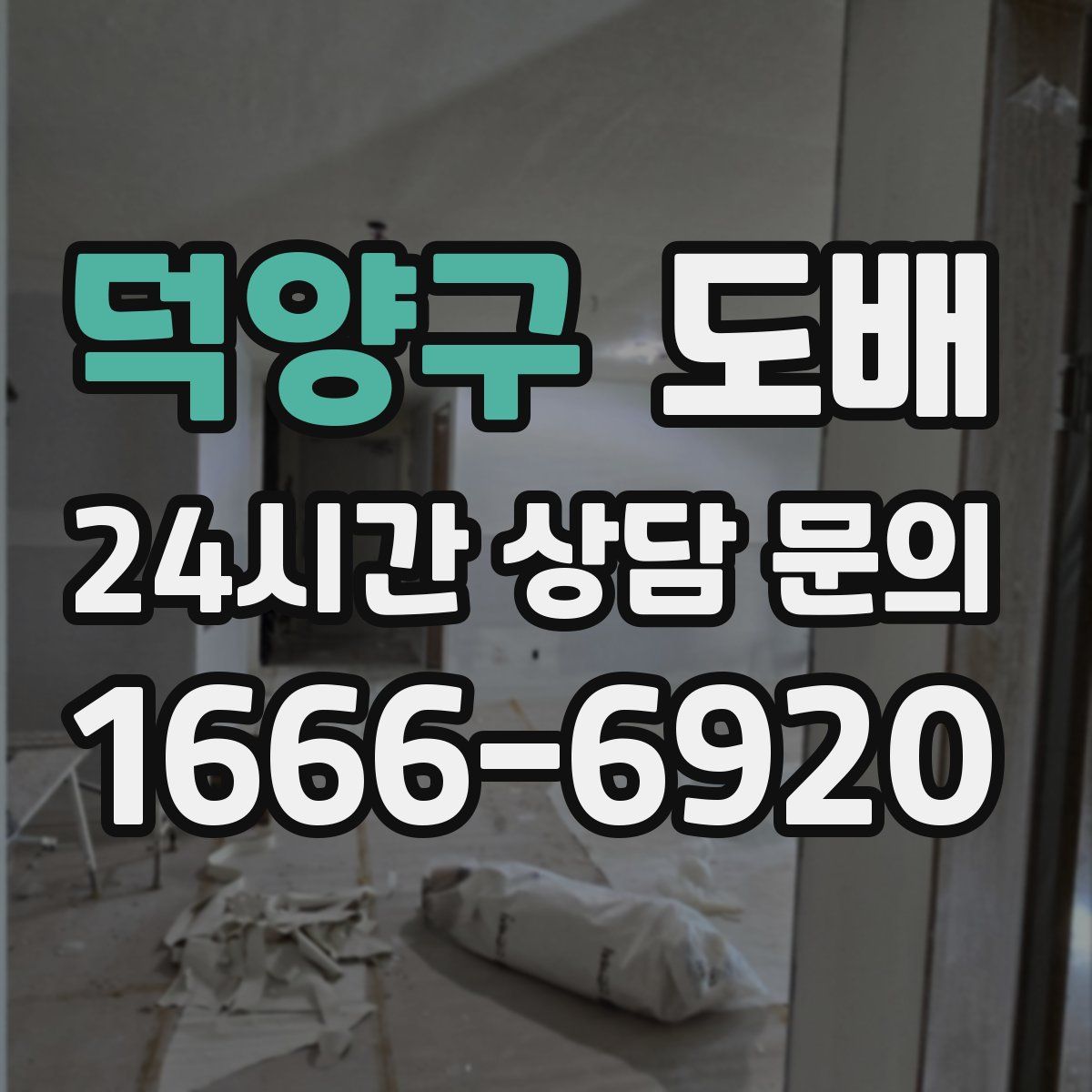 덕양구 도배