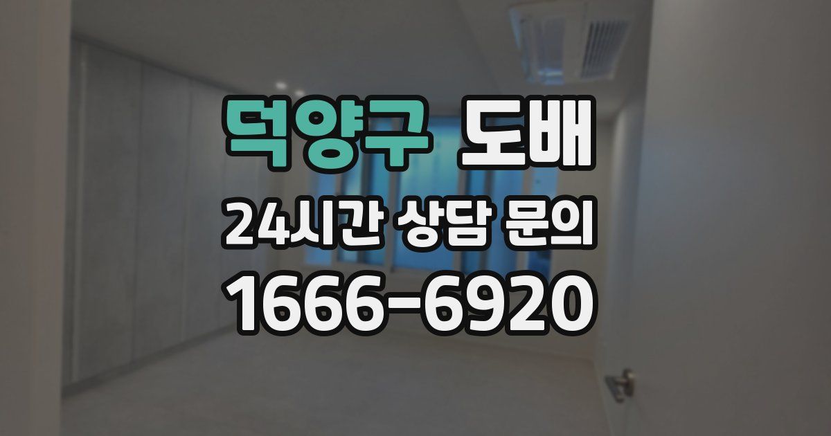 덕양구 도배