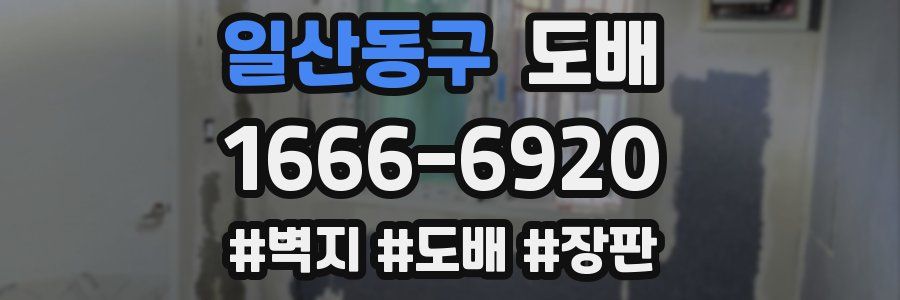 일산동구 도배