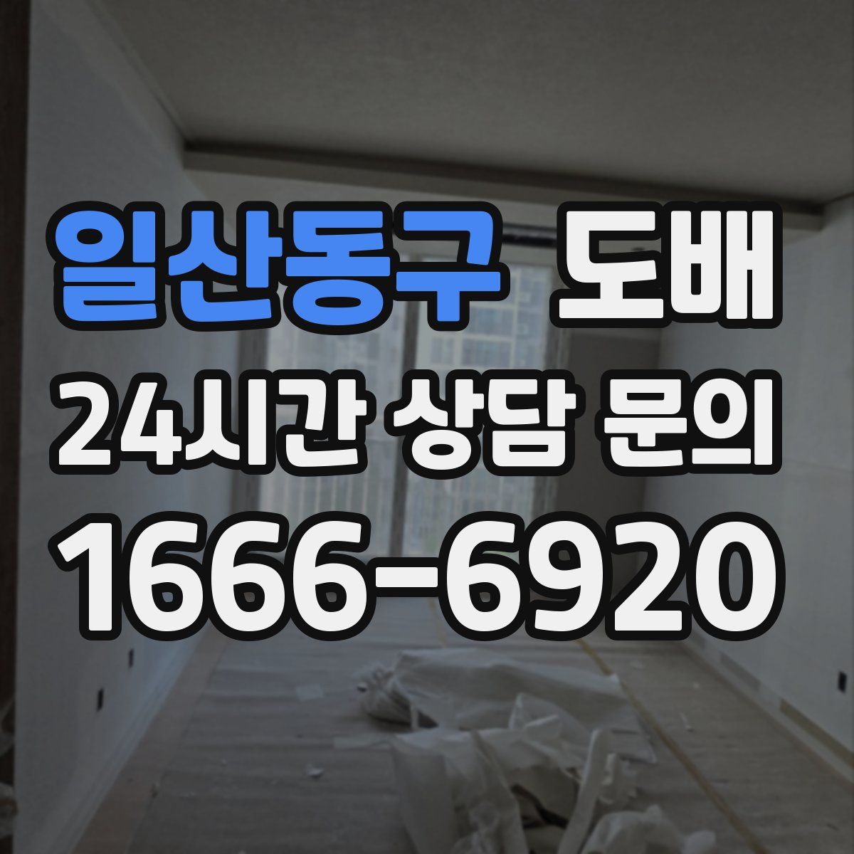 일산동구 도배