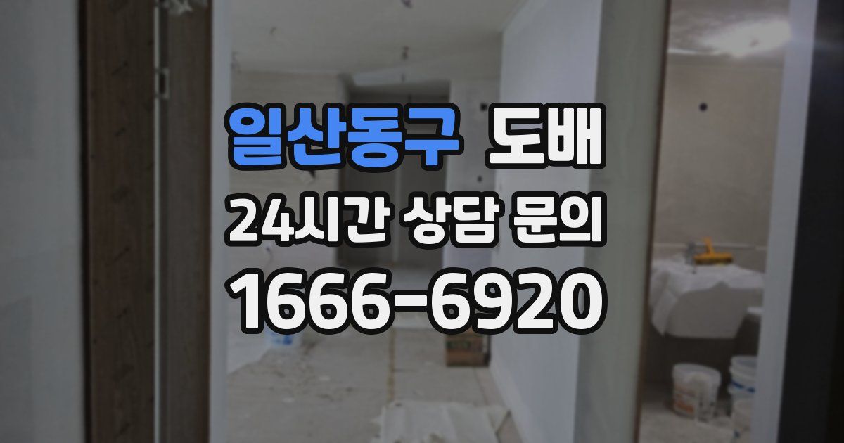 일산동구 도배
