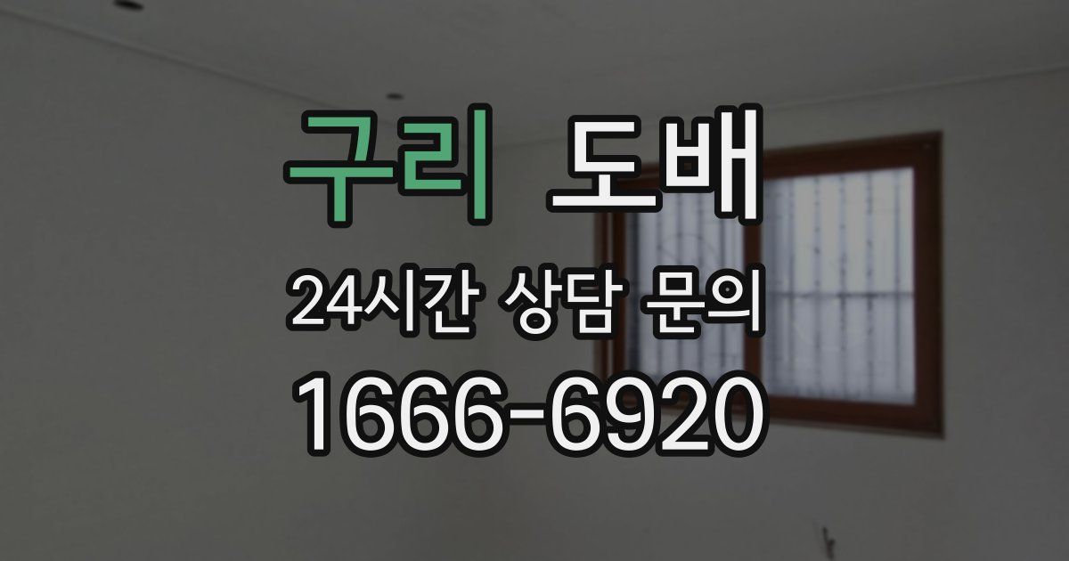 구리 도배