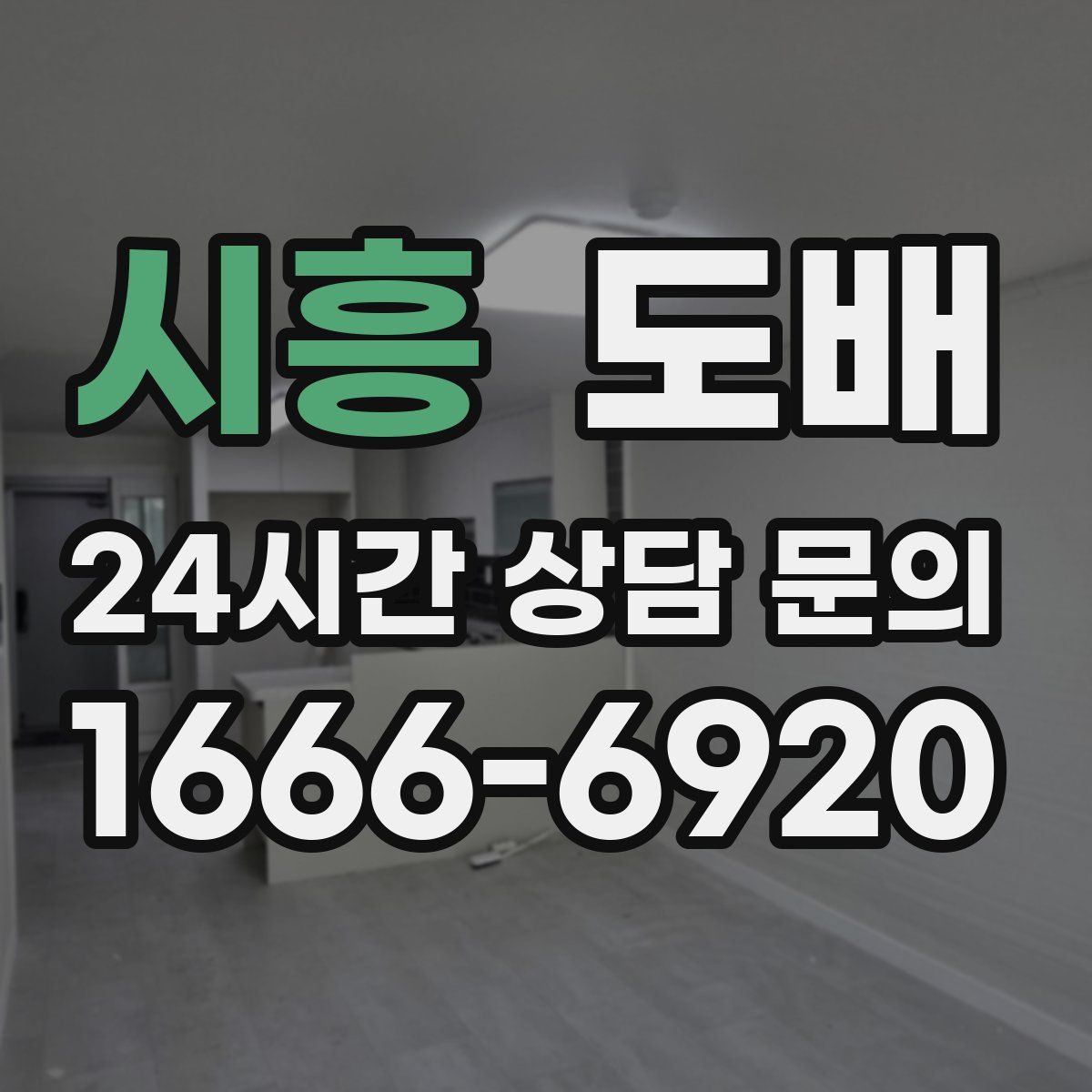 시흥 도배