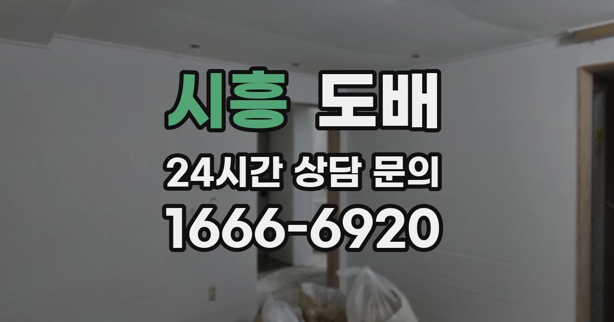 시흥 도배