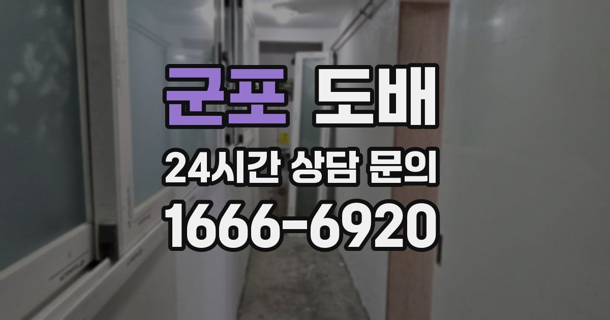 군포 도배