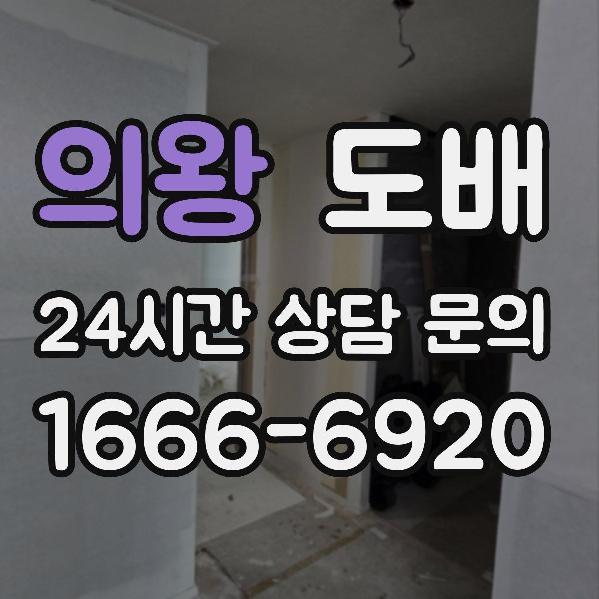 의왕 도배