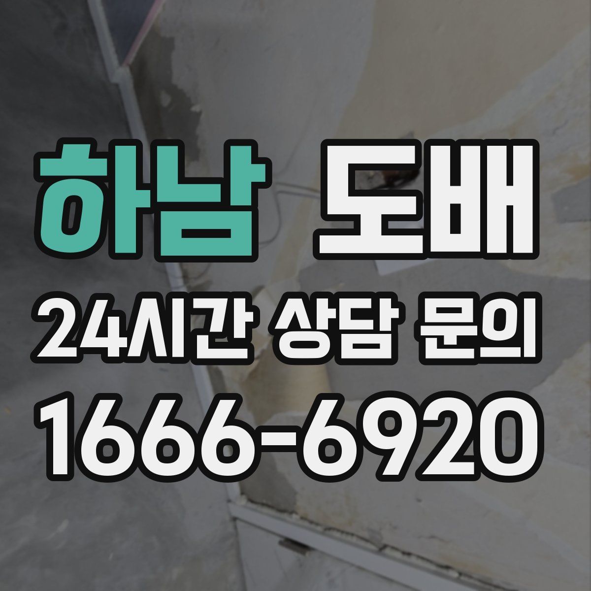 하남 도배