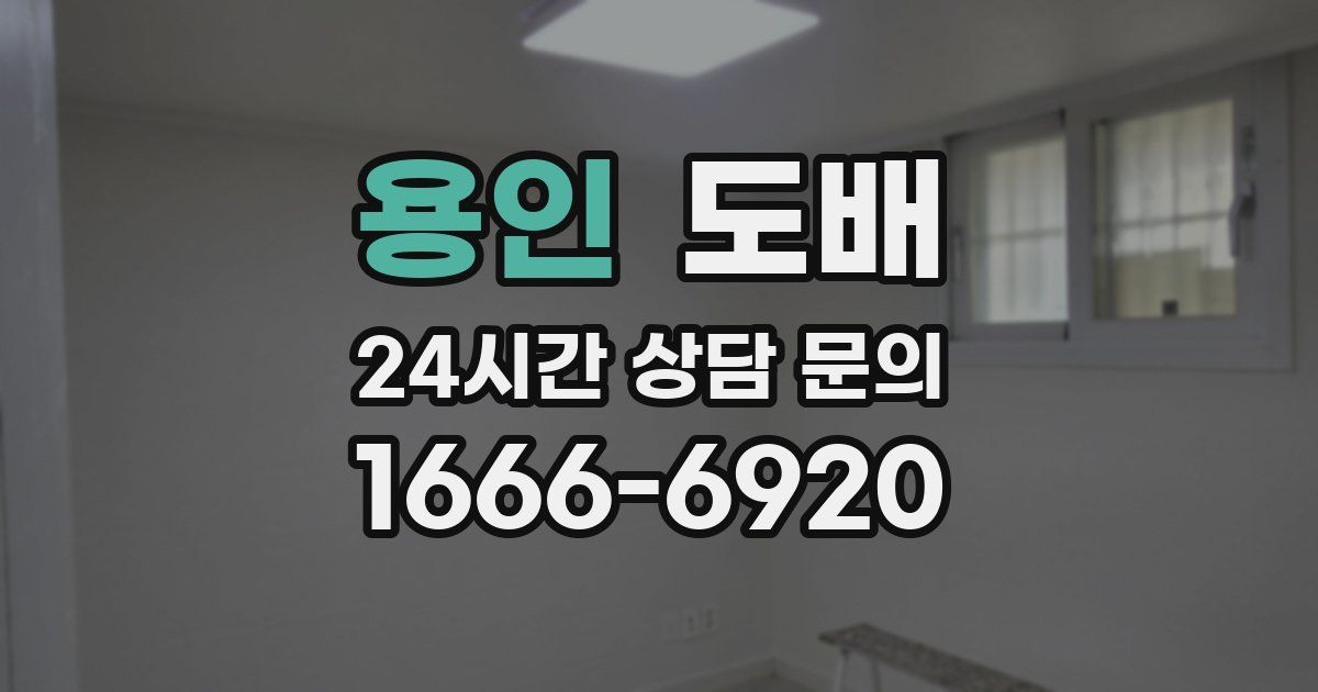 용인 도배