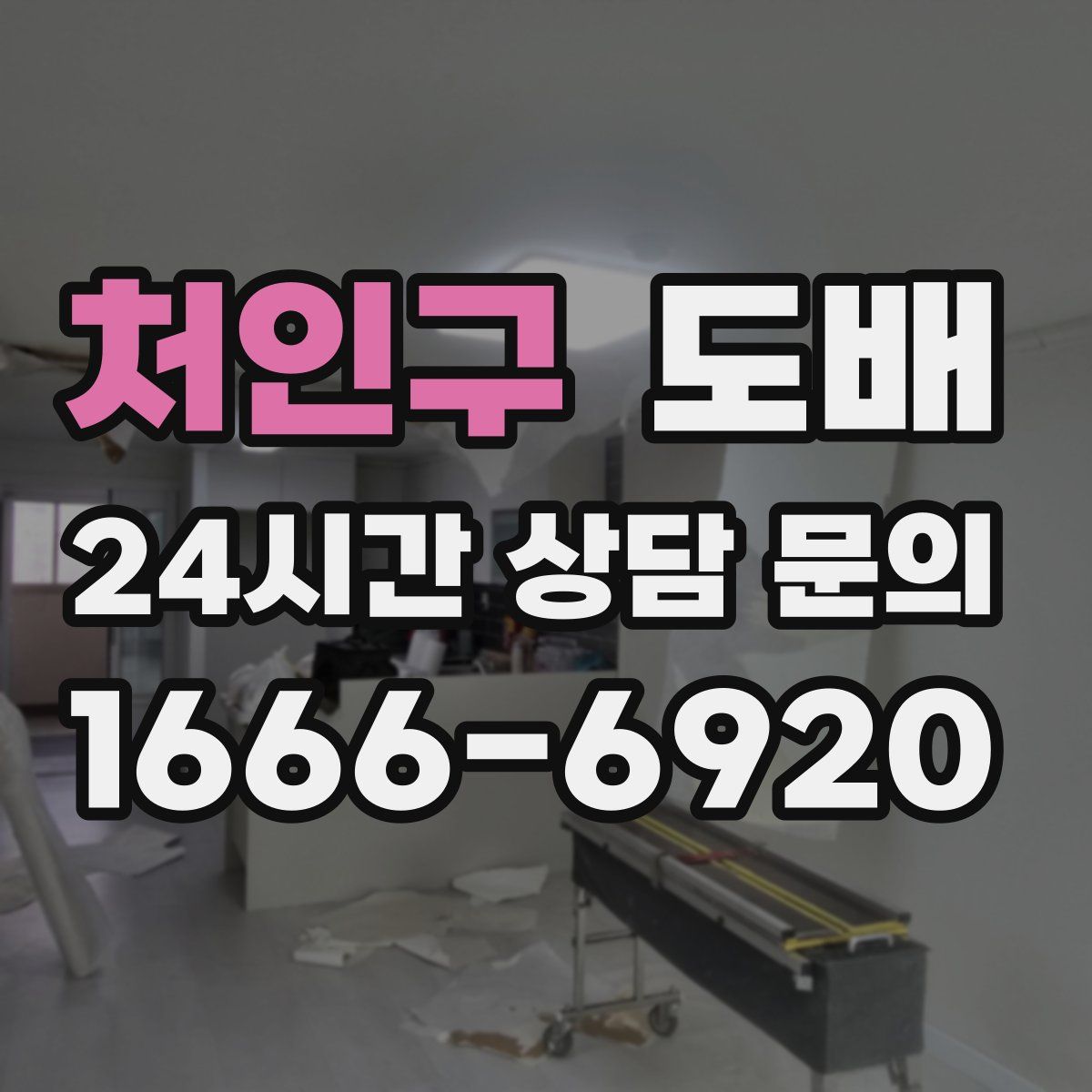 처인구 도배
