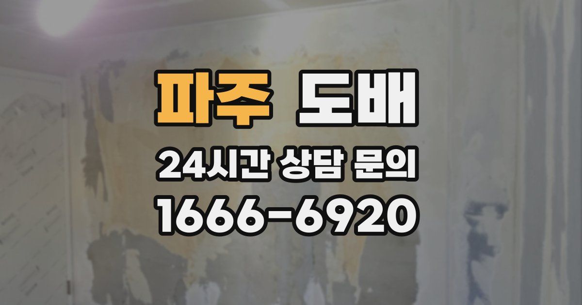 파주 도배