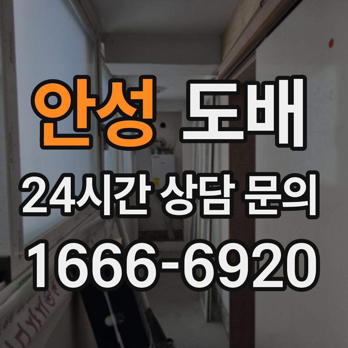 안성 도배