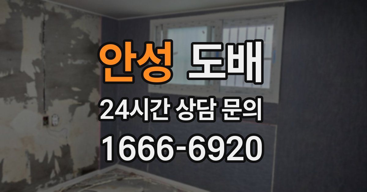 안성 도배
