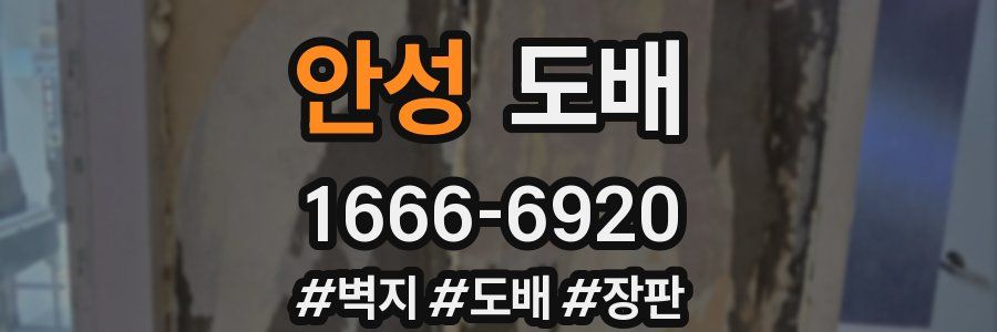 안성 도배