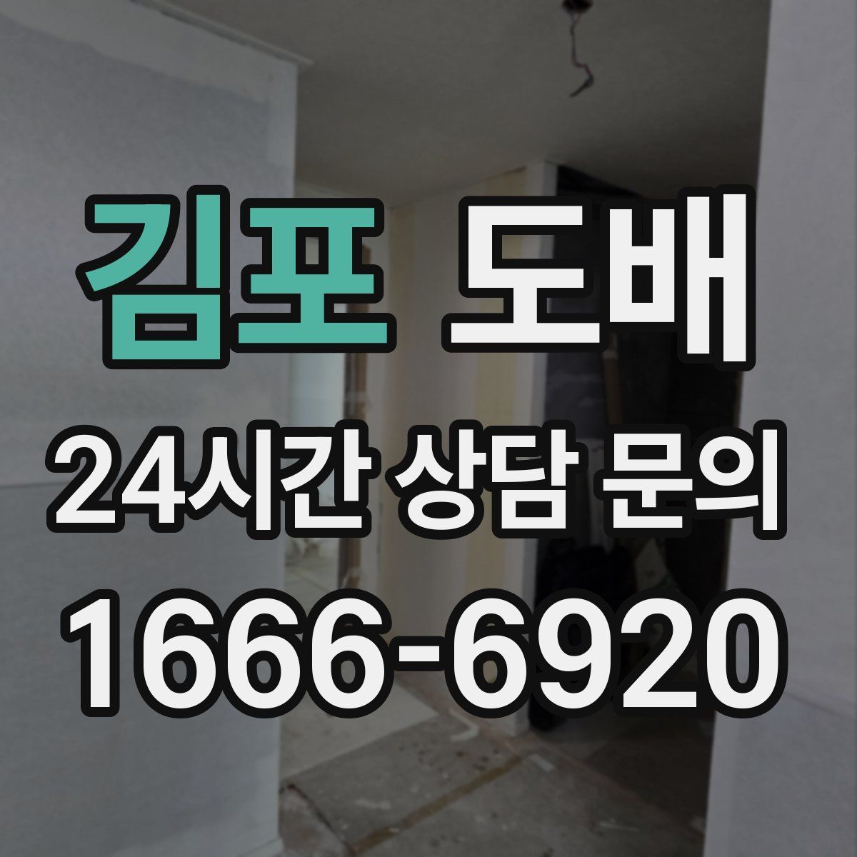 김포 도배