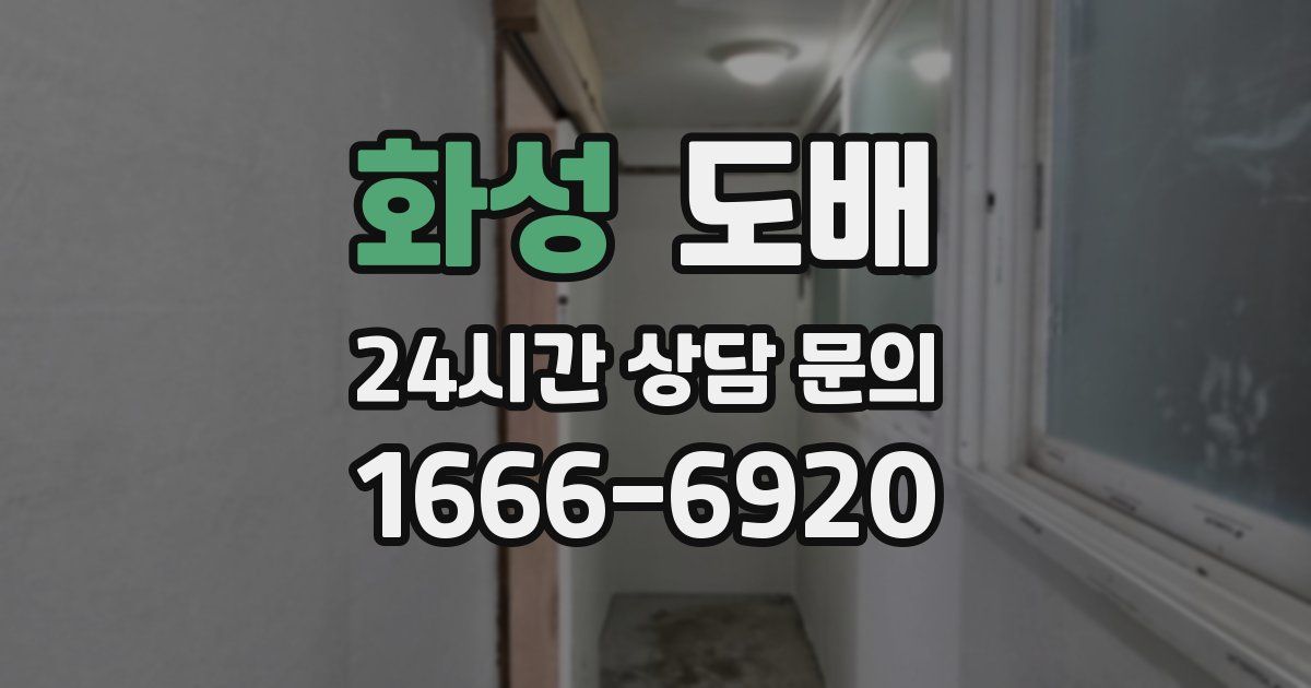 화성 도배
