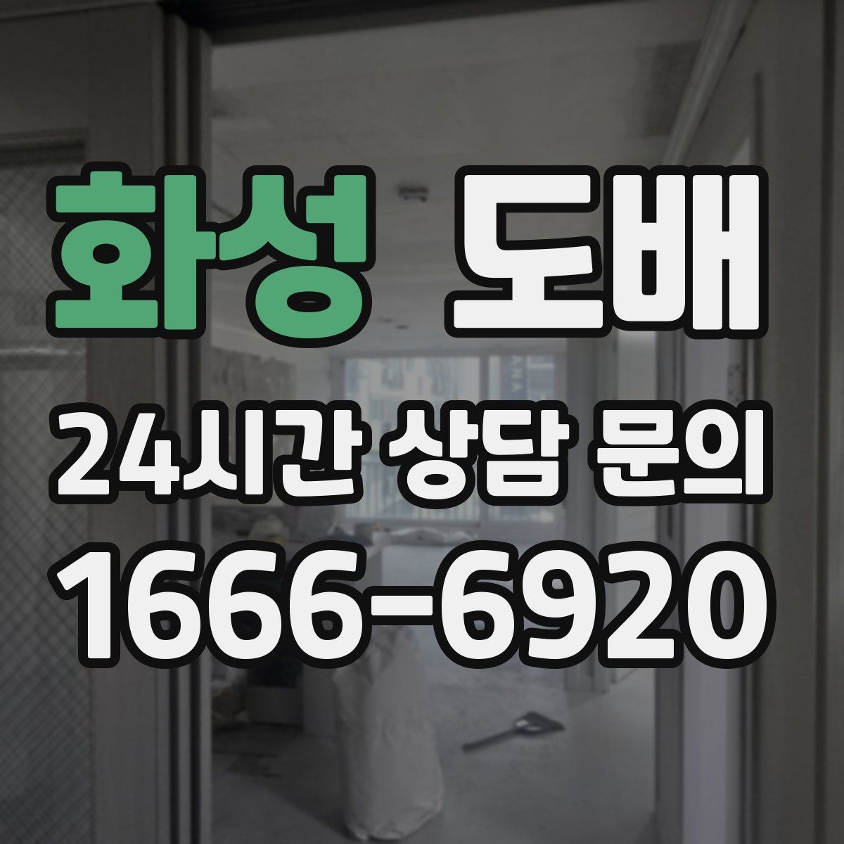 화성 도배