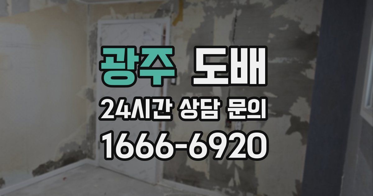 광주 도배