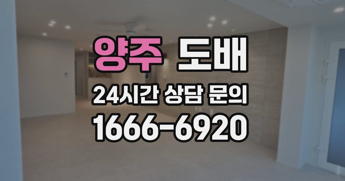 양주 도배