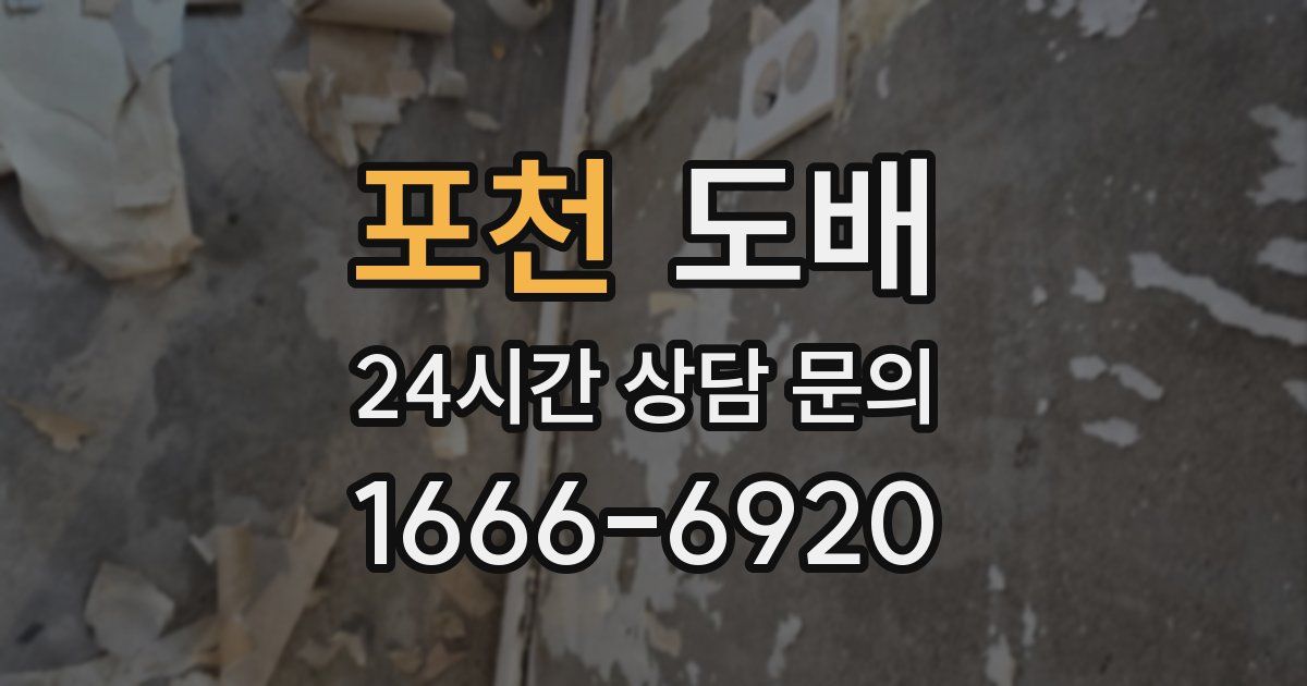 포천 도배