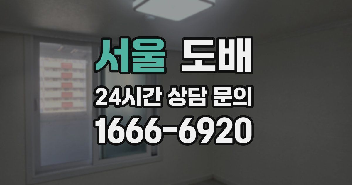 서울 도배