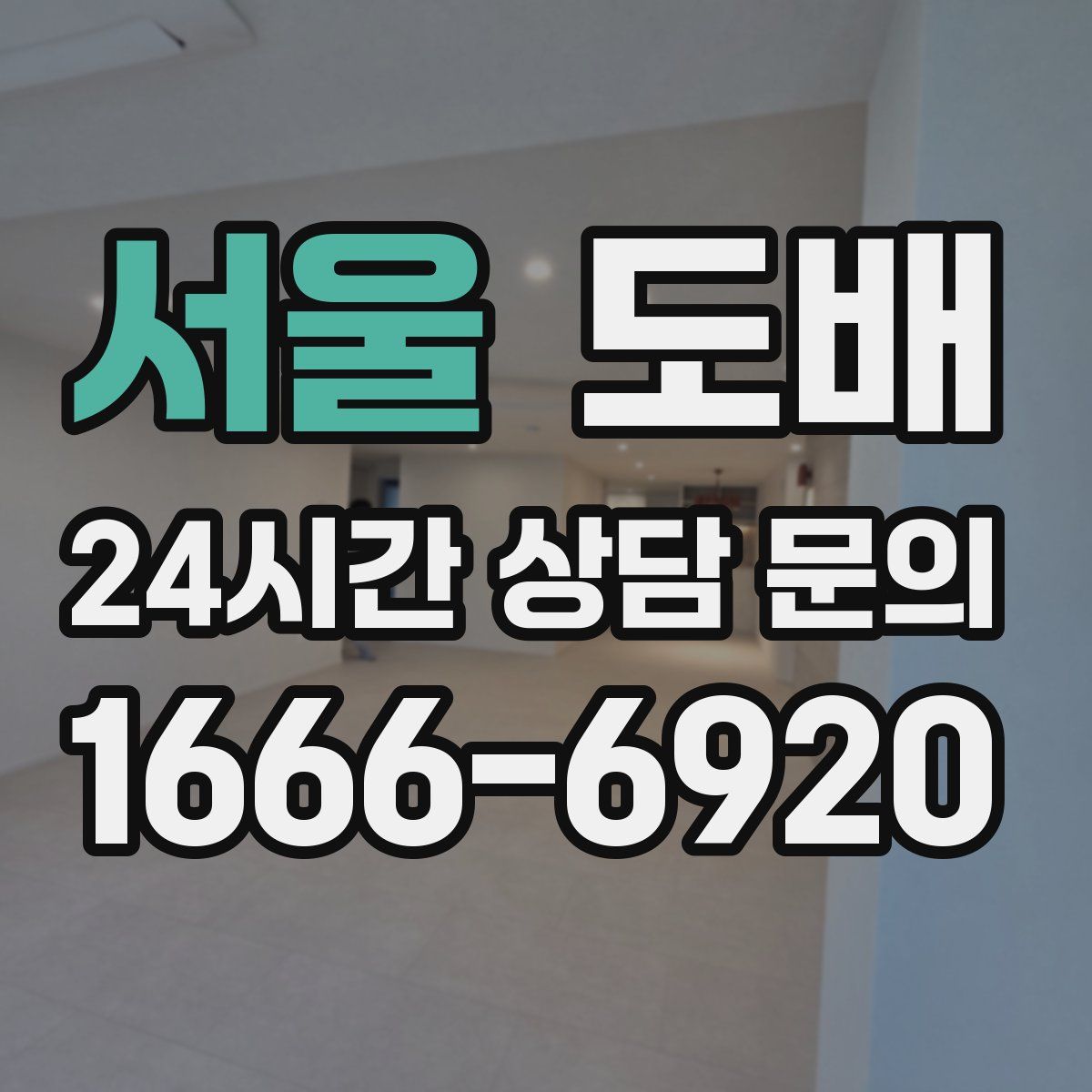 서울 도배