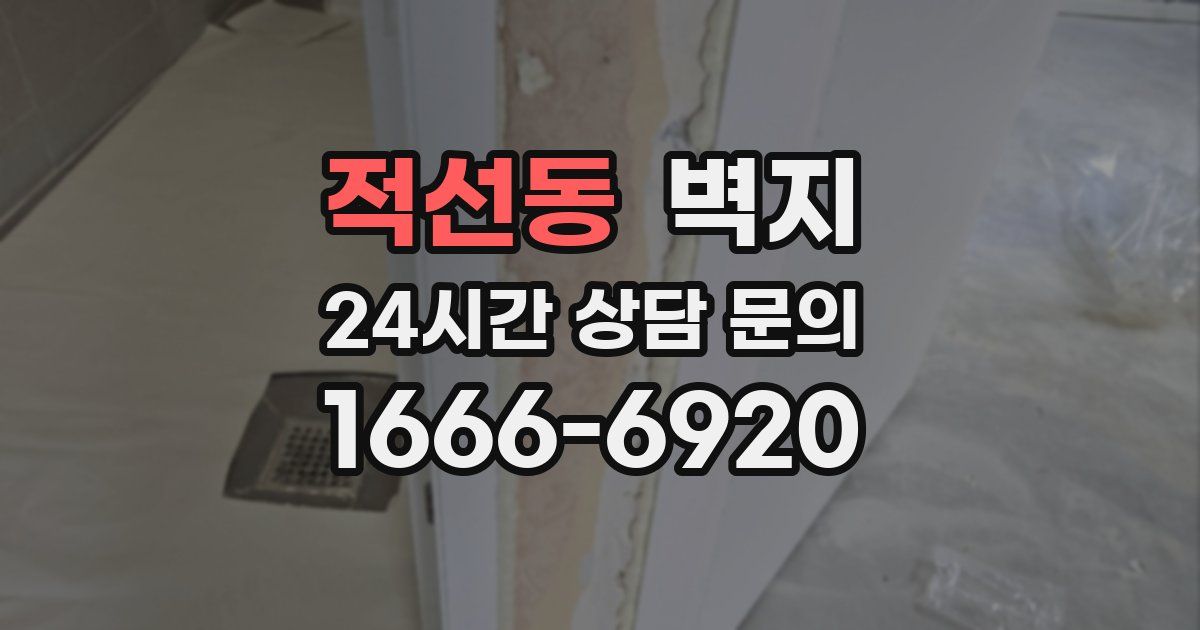 적선동 벽지