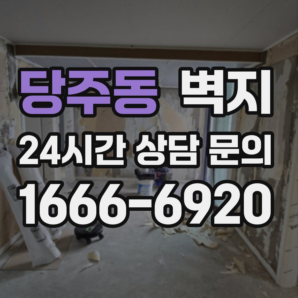 당주동 벽지