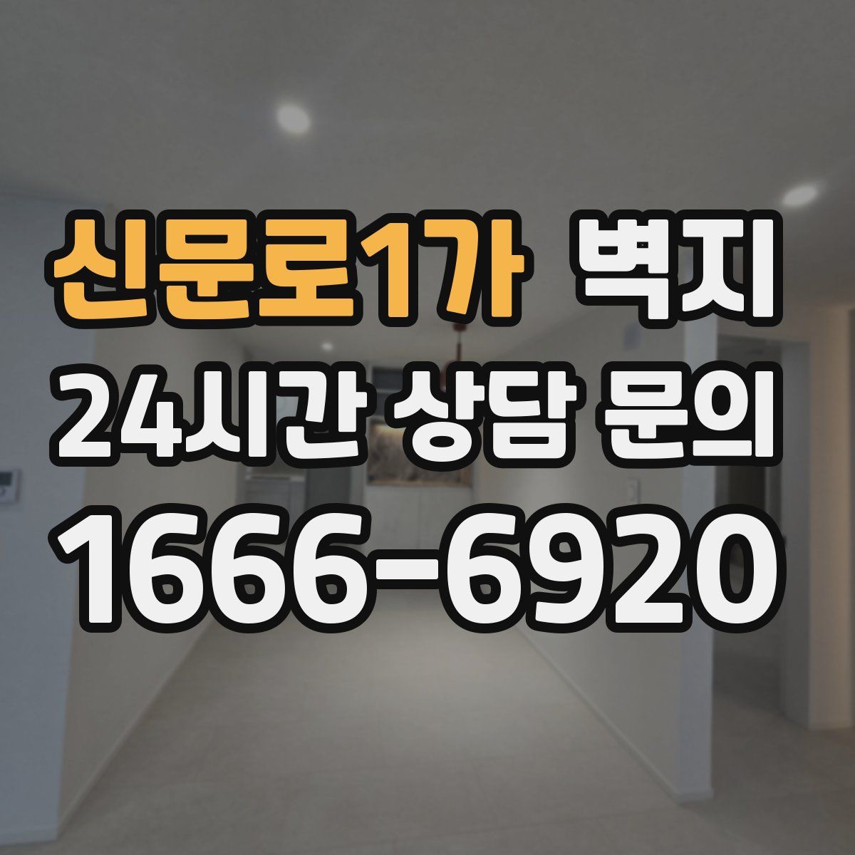 신문로1가 벽지
