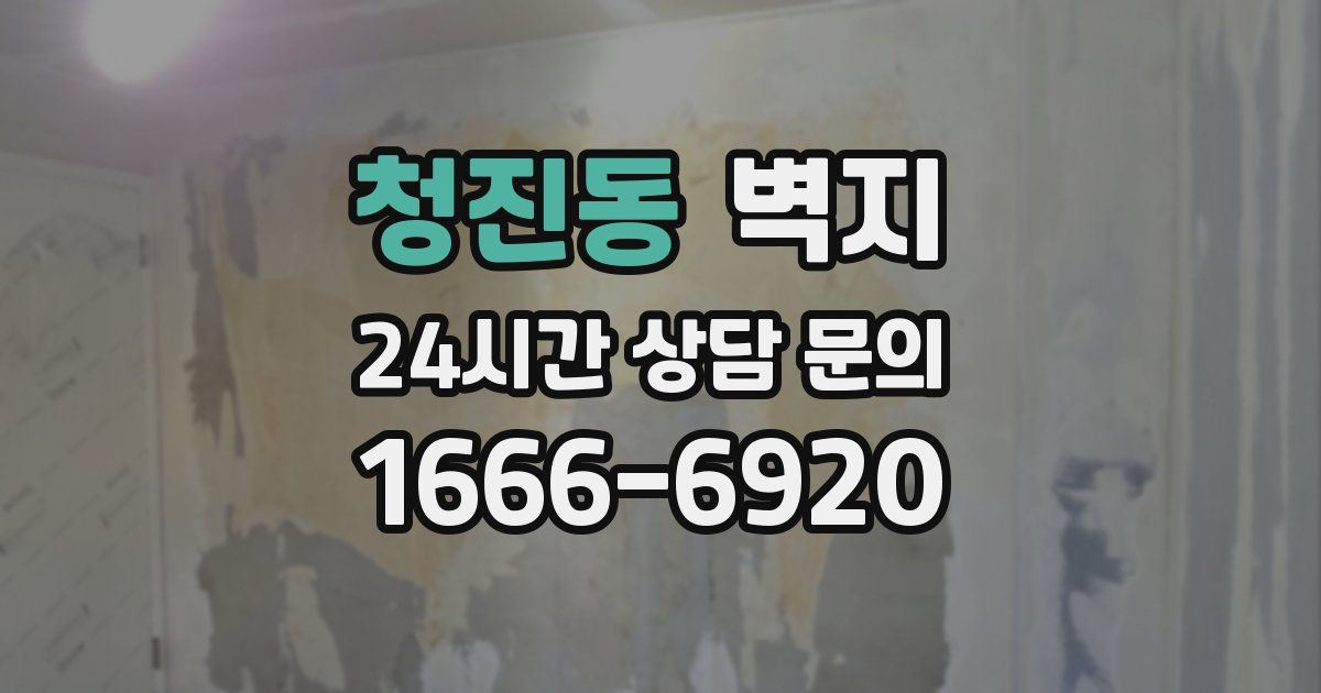 청진동 벽지