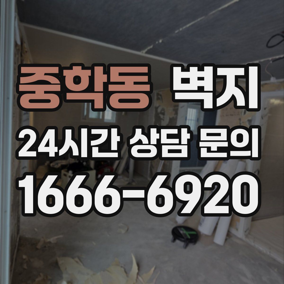 중학동 벽지
