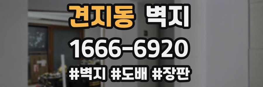 견지동 벽지
