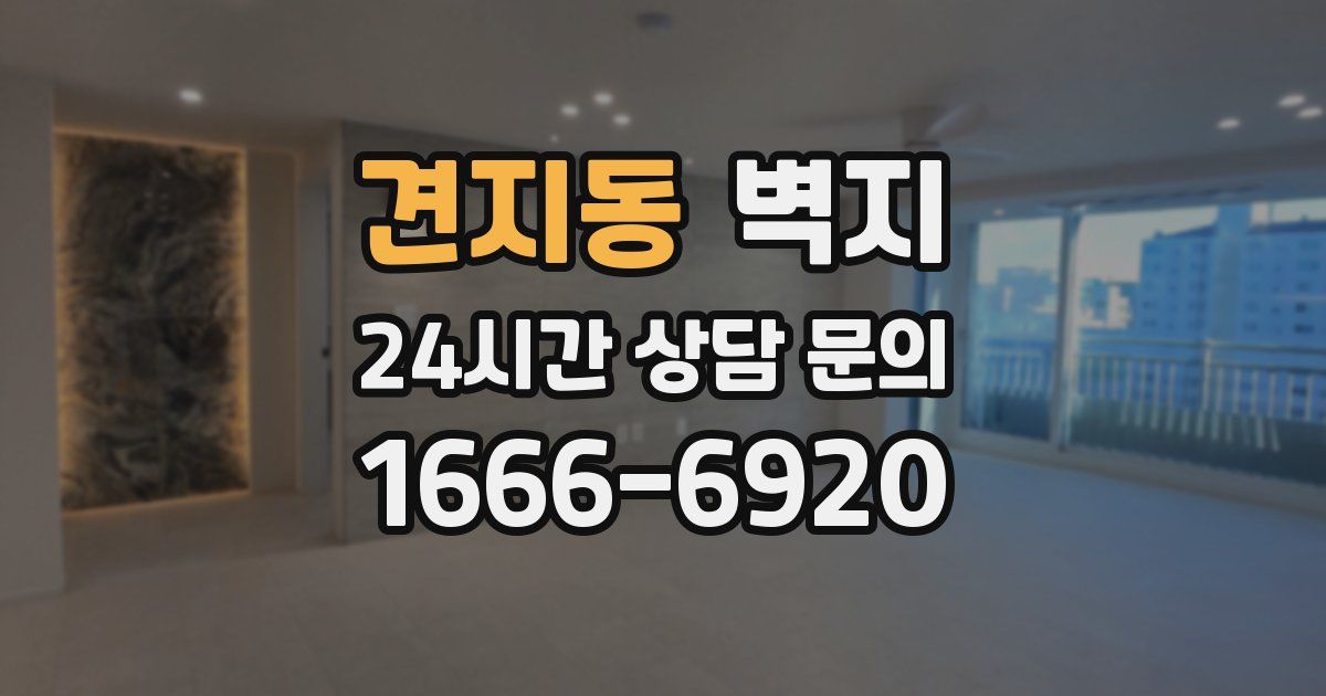 견지동 벽지