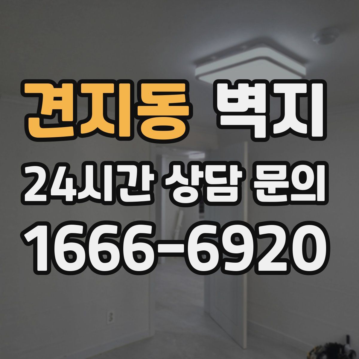 견지동 벽지