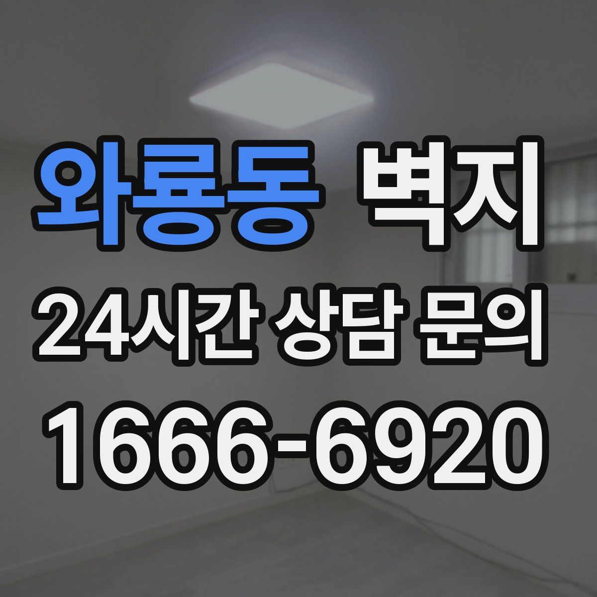 와룡동 벽지