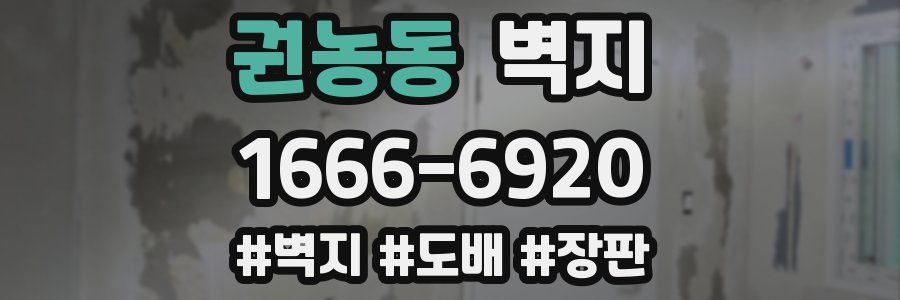 권농동 벽지