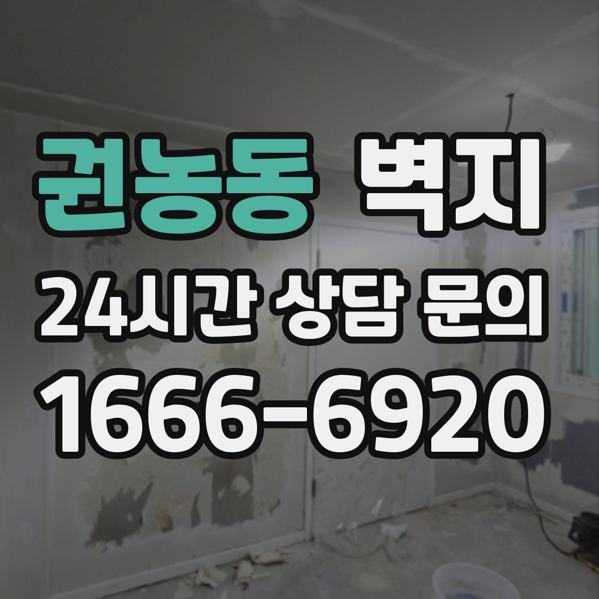 권농동 벽지
