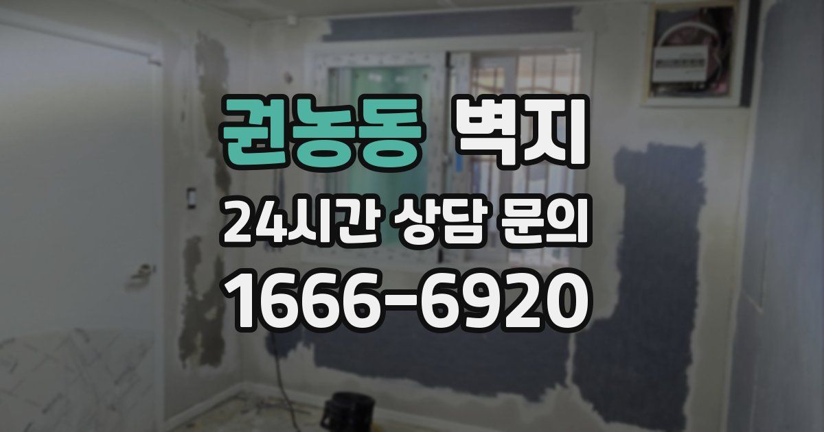 권농동 벽지