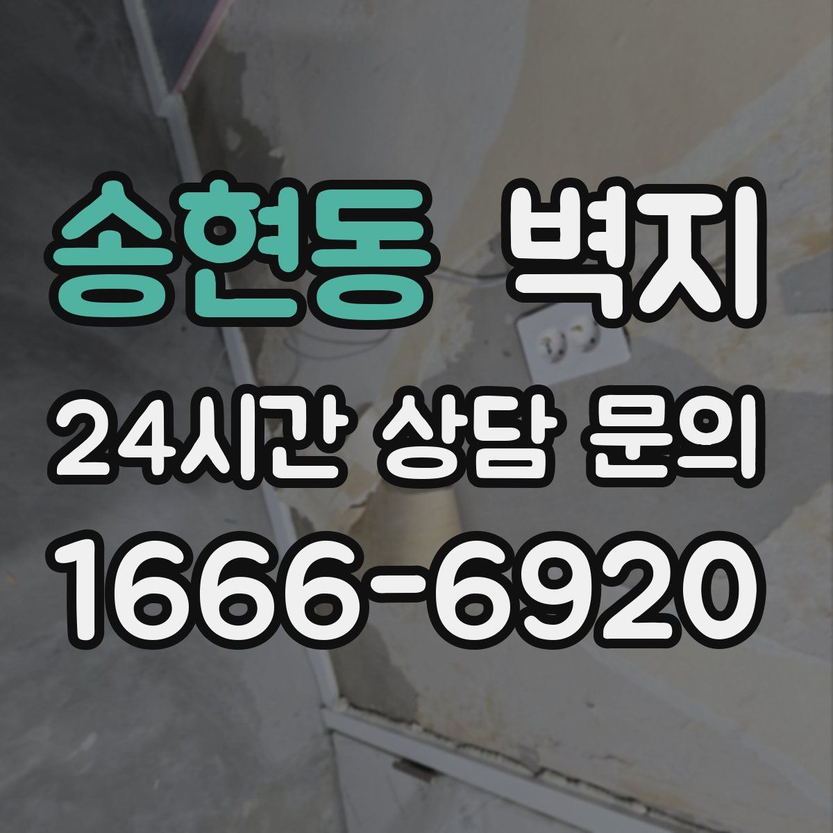 송현동 벽지