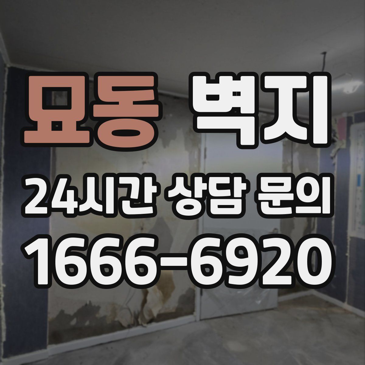 묘동 벽지