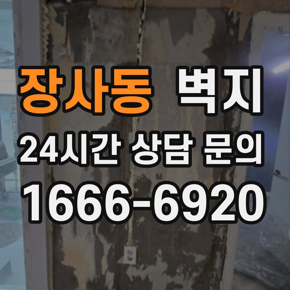 장사동 벽지