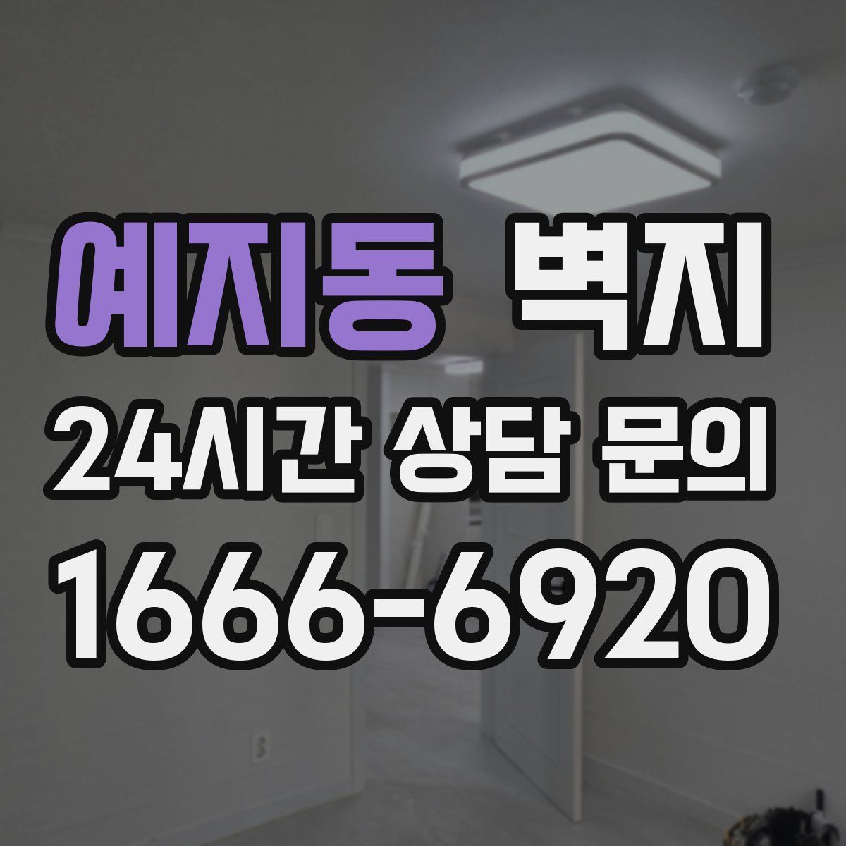 예지동 벽지