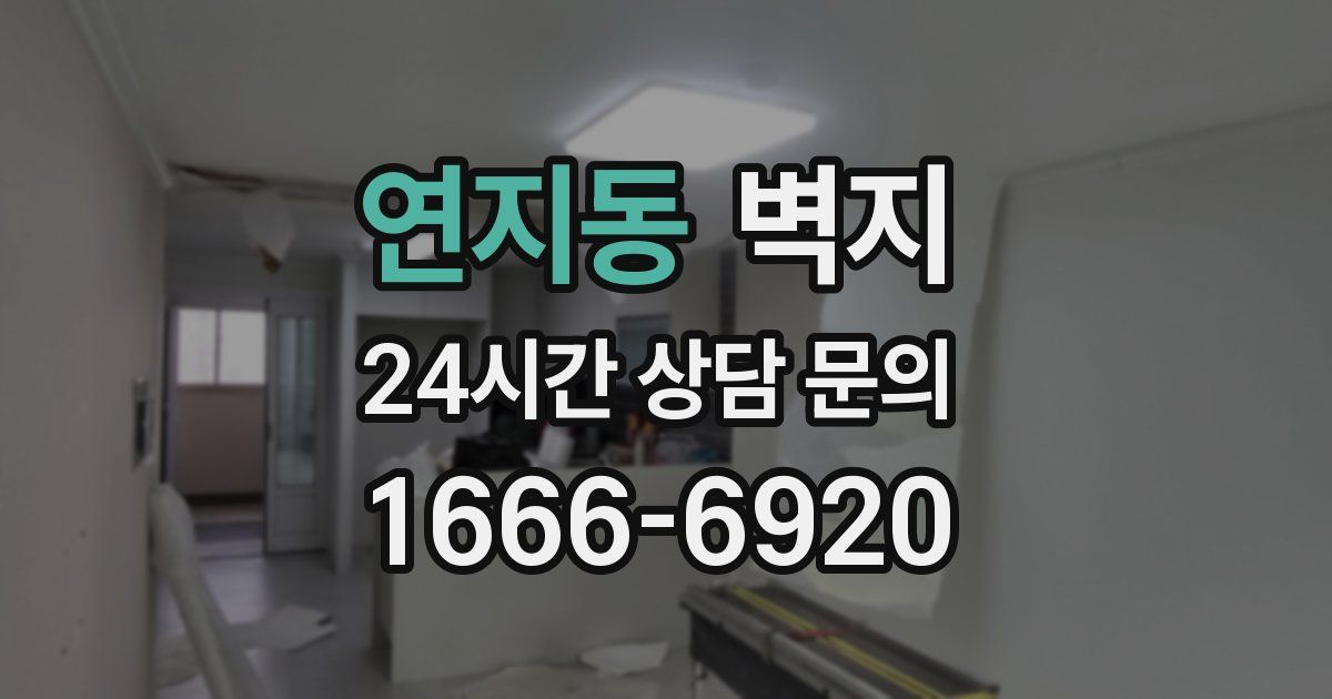 연지동 벽지