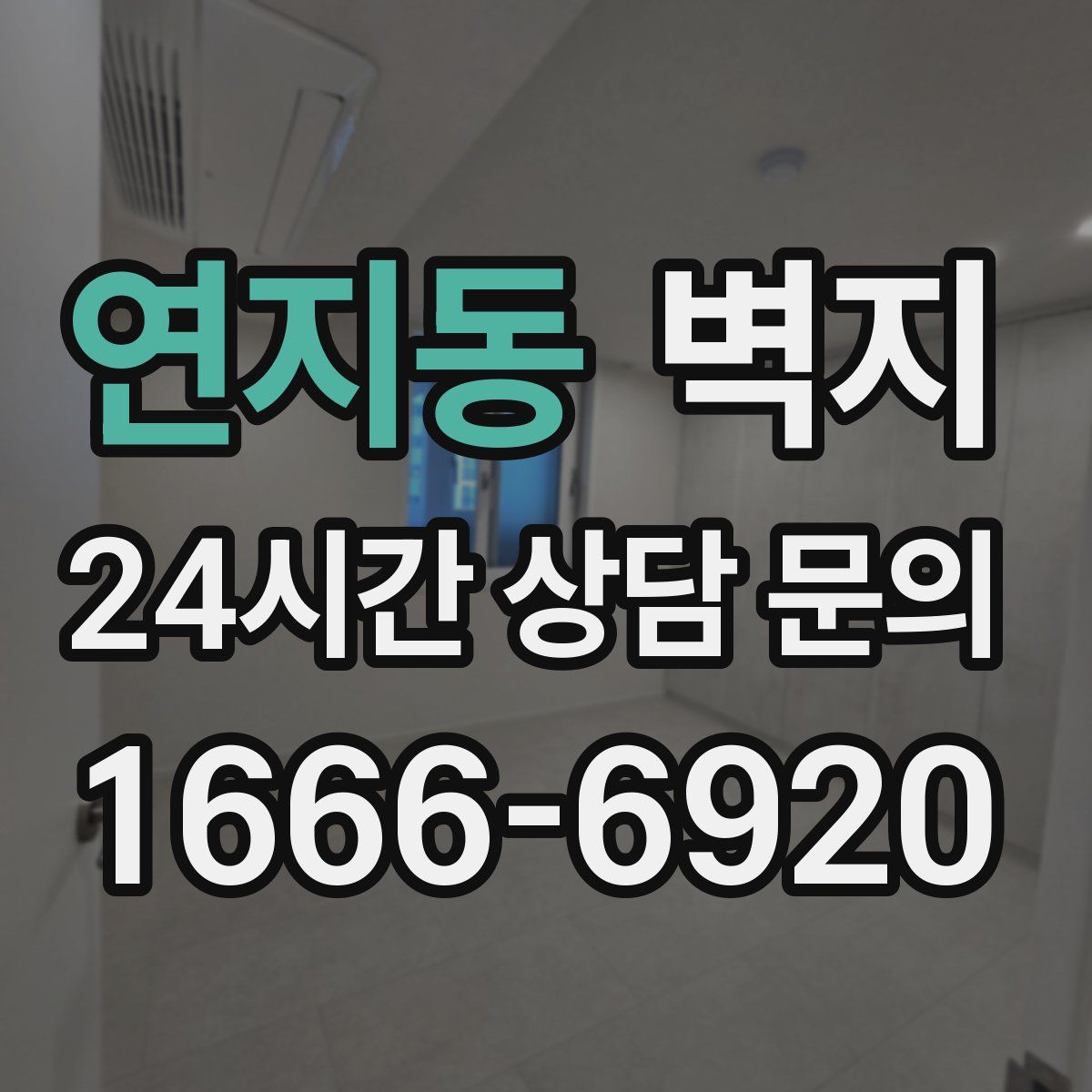 연지동 벽지