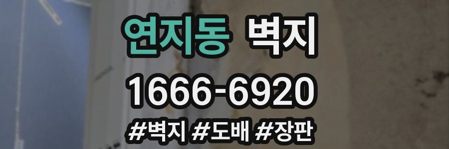 연지동 벽지